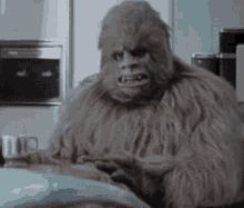 Gorilla Mind Blown GIF - Gorilla Mind Blown Funny GIFs