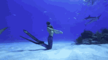 diver freediving