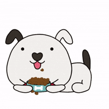 animal dog