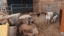 Jump Down Weed Em And Reap GIF - Jump Down Weed Em And Reap Goat GIFs