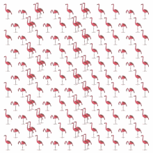 Flamingo Flamingos GIF - Flamingo Flamingos GIFs