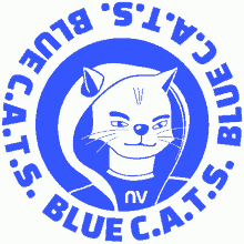 Bluecats Nventive GIF - Bluecats Nventive Nv GIFs