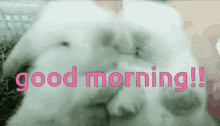 Goodmorning Sweet GIF - Goodmorning Sweet Kiss GIFs