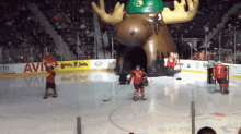 Halifax Mooseheads Hockey GIF - Halifax Mooseheads Mooseheads Halifax GIFs
