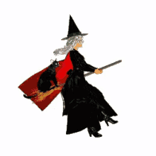 befana witch broom flying cat