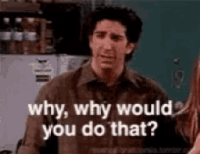 Why Friends GIF - Why Friends Ross GIFs
