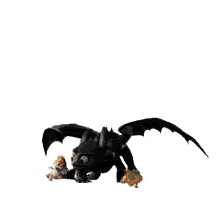 how to train your dragon toothless cute dragons play