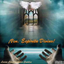 Ven Espiritu Divino Come Divine Spirit GIF - Ven Espiritu Divino Come Divine Spirit Bird GIFs