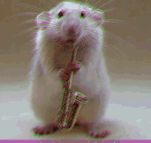 Rat Trumpet GIF - Rat Trumpet Glitch GIFs