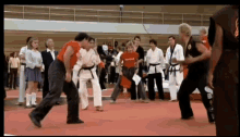 karate karate kid cobra kai kick