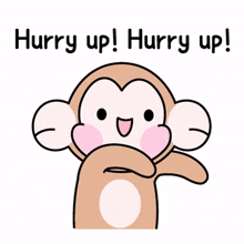 monkey animal cheer up hurry request