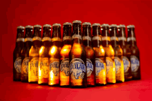Polar Beer GIF - Polar Beer GIFs