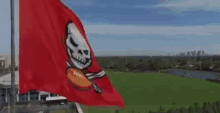 Tampa Bay Buccaneers GIF - Tampa Bay Buccaneers Flag GIFs