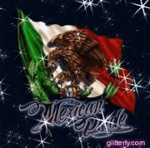 Mexican Pride GIF - Mexican Pride Flag GIFs