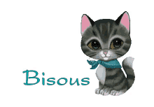 Bisous Cat GIF - Bisous Cat GIFs