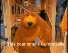 This Bear This Bear Smells Gummizelle GIF - This Bear This Bear Smells Gummizelle GIFs