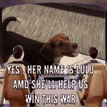 Funny Dogs GIF - Funny Dogs Win GIFs