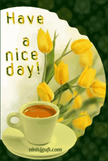 Have A Nice Day Tulips GIF - Have A Nice Day Tulips Good Morning GIFs