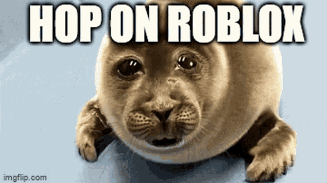 Hop On Roblox Roblox Memes GIF - Hop On Roblox Roblox Roblox Memes GIFs