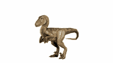 velociraptor raptor 3d wiggle tail