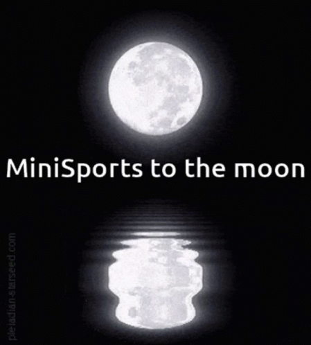 To The Moon GIF - To The Moon GIFs