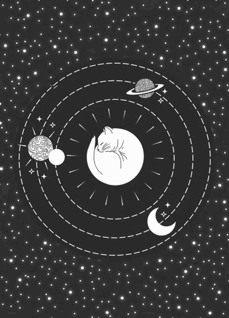 Cat Lovers Space GIF - Cat Lovers Space Galaxy GIFs