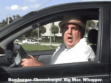 The Hamburger Song James E Cunningham GIF - The Hamburger Song James E Cunningham Hamburger Cheeseburger Big Mac Whopper GIFs
