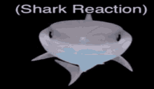 shark shark reaction smile move animation