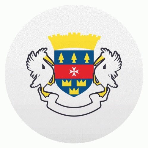 St Barthelemy Flags Sticker - St Barthelemy Flags Joypixels - Discover