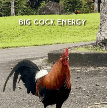 Big Cock GIF - Big Cock Energy GIFs