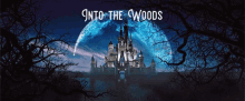 Into The Woods Disney GIF - Into The Woods Disney GIFs