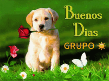 Buenos Dias Dog GIF - Buenos Dias Dog Puppy GIFs