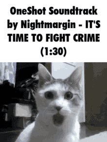 oneshot nightmargin its time to fight crime shocked cat oneshot niko