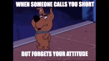 Scooby Doo Short GIF - Scooby Doo Short Attitude GIFs