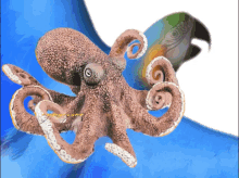 Squid Colorful GIF - Squid Colorful Viorchu GIFs