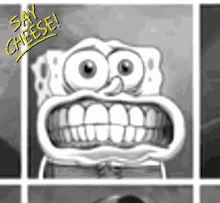 Spongebob Saycheese GIF - Spongebob Saycheese Pictureday GIFs
