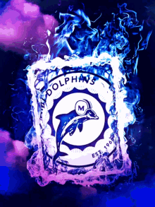 dolphins lookrizzle2