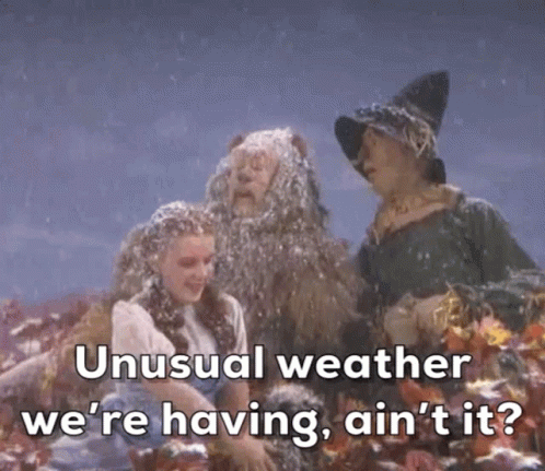 Wizard Of Oz Unusual Weather GIF - Wizard Of Oz Unusual Weather Dorothy GIFs