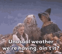 Wizard Of Oz Unusual Weather GIF - Wizard Of Oz Unusual Weather Dorothy GIFs