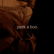 Peekaboo Peep GIF - Peekaboo Peep Peek GIFs