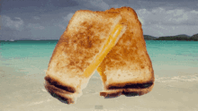Tost Motivation GIF - Tost Motivation Beautiful GIFs