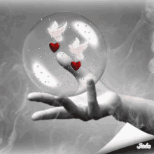 Dove Heart GIF - Dove Heart Bubble GIFs