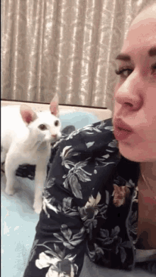 Cat Fight Cats Are Rude GIF - Cat Fight Cats Are Rude Kisses GIFs