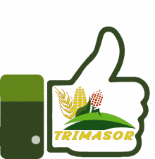 trimasor trimo maiz sorgo agricultura trimasor trimo maiz sorgo agricultura