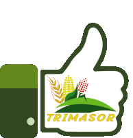 Trimasor Trimo Sticker - Trimasor Trimo Maiz Stickers