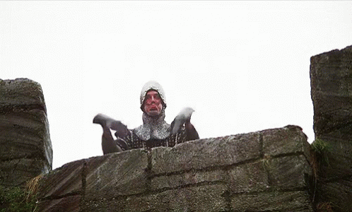 Monty Python The Holy Grail GIF - Monty Python The Holy Grail French Guard  - Discover & Share GIFs