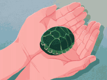 Shy Turtle GIF - Shy Turtle GIFs