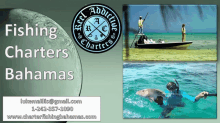 Fishing Charters Bahamas Fishing Guide Bahamas GIF - Fishing Charters Bahamas Fishing Guide Bahamas Fishing Trips In Bahamas GIFs