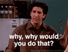 Why GIF - Why Friends Ross Geller GIFs