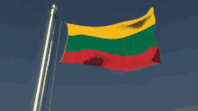 Lithuania Flag GIF - Lithuania Flag Flag Waver GIFs